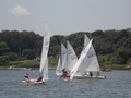 Image file: _7/photo161.jpg