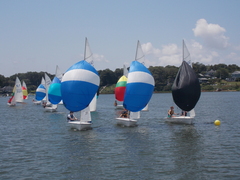 Image file: photo171.jpg