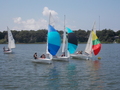 Image file: _8/photo173.jpg