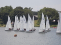Image file: _9/photo210.jpg