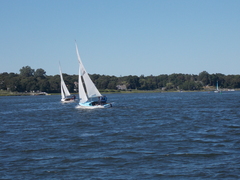 Image file: photo81.jpg