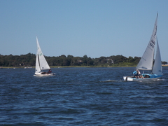 Image file: photo85.jpg