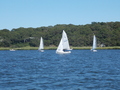 Image file: _4/photo79.jpg