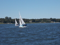 Image file: _4/photo81.jpg