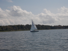 Image file: photo56.jpg