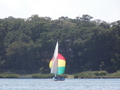 Image file: _3/photo45.jpg