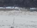 Image file: photo10.jpg