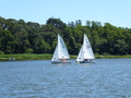 Image file: _1/photo14.jpg