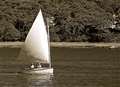 Image file: _2/photo48.jpg