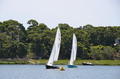 Image file: _2/photo31.jpg