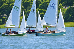 Image file: photo231.jpg