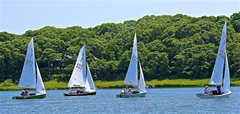 Image file: photo233.jpg
