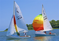 Image file: _10/photo243.jpg
