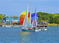 Image file: _11/photo254.jpg