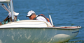 Image file: _14/photo331.jpg