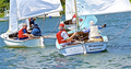 Image file: _14/photo338.jpg