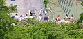 Image file: _14/photo342.jpg