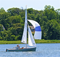 Image file: _15/photo354.jpg