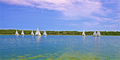Image file: _3/photo072.jpg