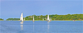 Image file: _4/photo079.jpg