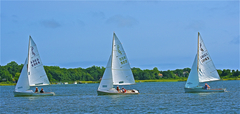 Image file: photo151.jpg