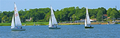 Image file: _7/photo161.jpg