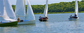 Image file: _8/photo190.jpg