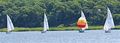 Image file: _8/photo197.jpg