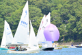 Image file: _6/photo143.jpg