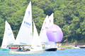 Image file: _6/photo144.jpg