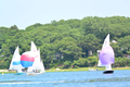Image file: _6/photo148.jpg