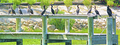 Image file: _8/photo199.jpg