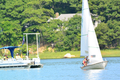 Image file: _9/photo209.jpg