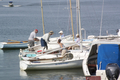 Image file: _9/photo218.jpg
