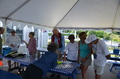 Image file: _2/photo29.jpg