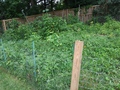 Image file: photo04.jpg