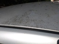 Image file: photo01.jpg