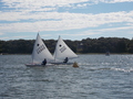 Image file: _1/photo11.jpg