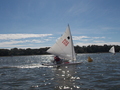 Image file: _3/photo43.jpg