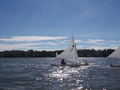 Image file: _3/photo44.jpg