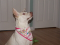 Image file: photo07.jpg