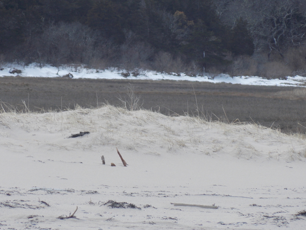 No description provided for: /2018/0320-nauset-storm-damage/photo09.html