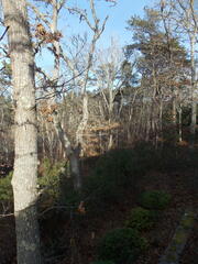 Image file: photo01.jpg
