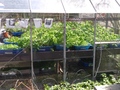Image file: photo01.jpg