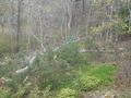 Image file: photo03.jpg