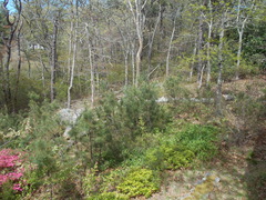 Image file: photo02.jpg