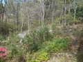 Image file: photo02.jpg