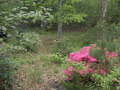 Image file: photo02.jpg
