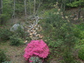 Image file: photo03.jpg