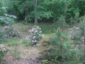 Image file: photo03.jpg